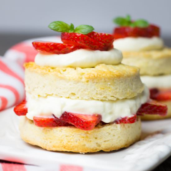 Classic Strawberry Shortcake