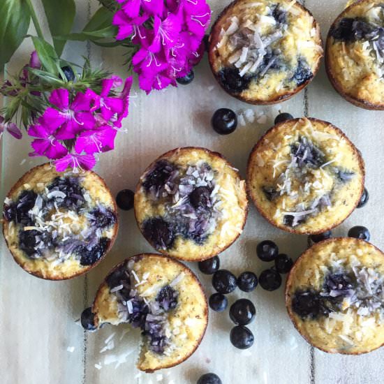 Coconut Blueberry Paleo Muffins