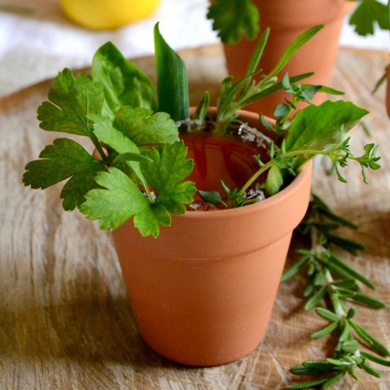 Garden Party Bloody Mary Shooters