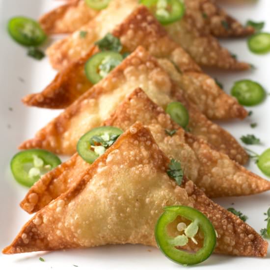 Jalapeño Avocado Cheese Wontons