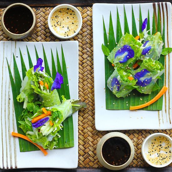 Gluten Free Thai Spring Rolls