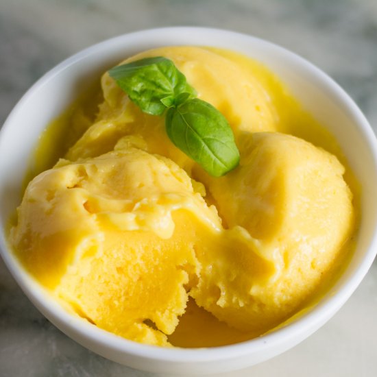 Homemade Mango Frozen Yogurt