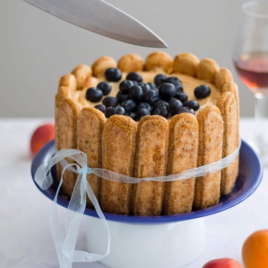 Apricot Tiramisu with Blueberries