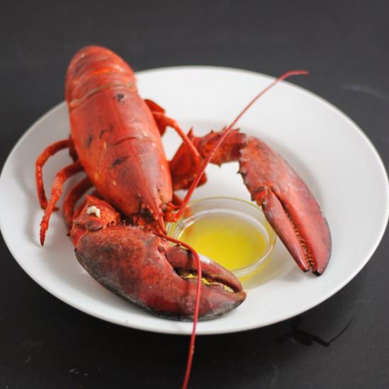 Perfectly steamed lobster