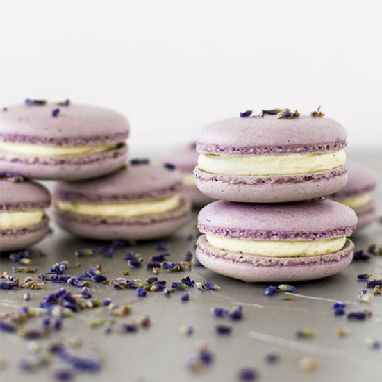 Lavender macarons