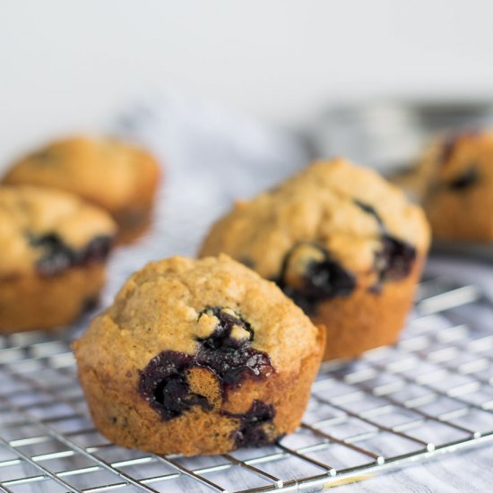 Blueberry Flax Greek Yogurt Muffins