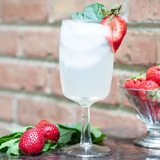 Essential Summer Lemonade Cocktail