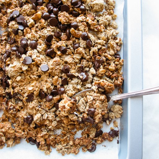 Best Ever Dark Chocolate Granola