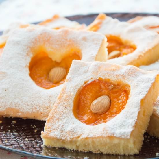 Fluffy Apricot Bars