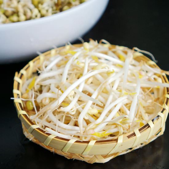 How to Grow Bean Sprouts at Home