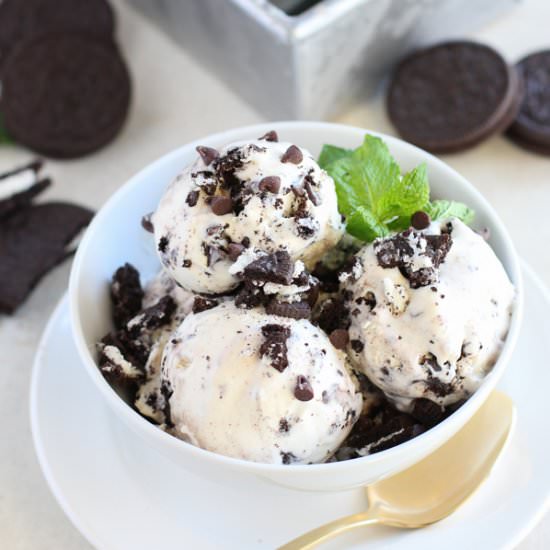 Mint Chip Cookies & Cream Ice Cream