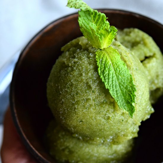 Chilly Cucumber Basil Sorbet