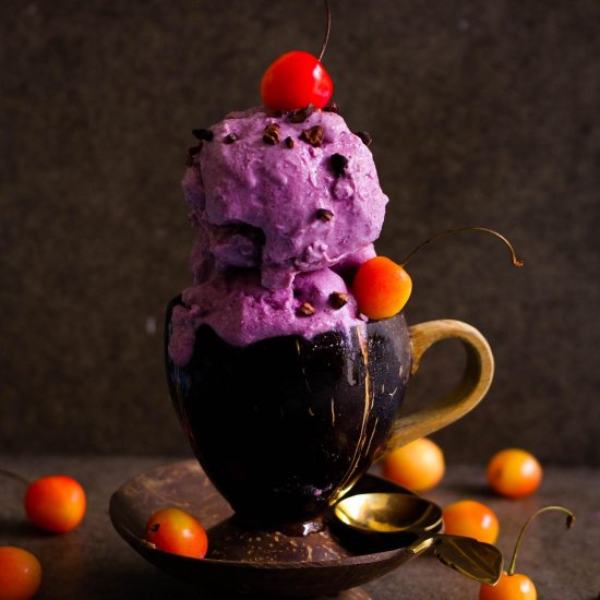 Jamun (Java plum) no churn Icecream