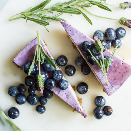 vegan lavender + blueberry cheeseca