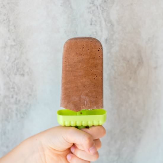 Dairy Free Fudgesicles