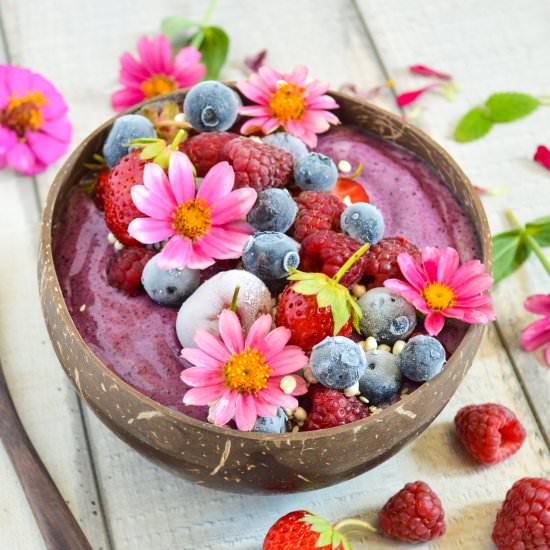 Blueberry and Coconut Nice Cream