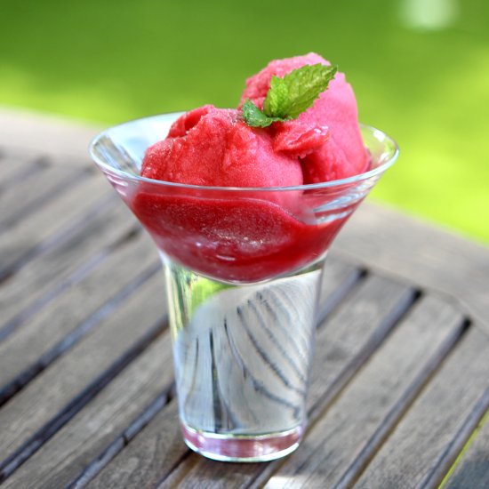 Raspberry sorbet