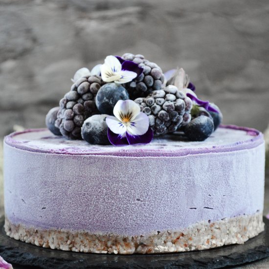 Blueberry Mini Cheesecake