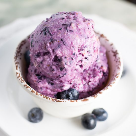 Blueberry Frozen Yogurt