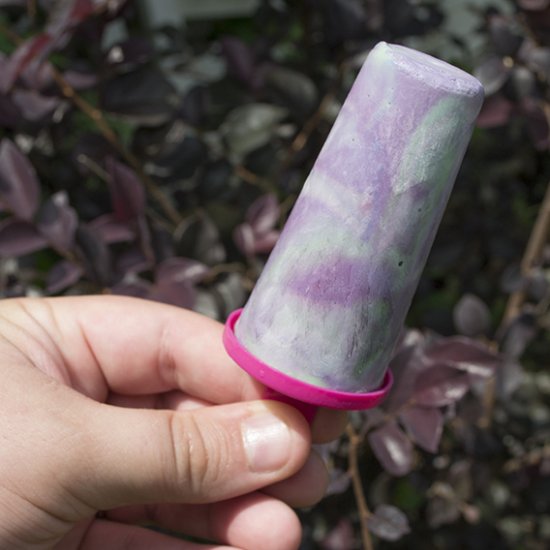 Blackberry Lime Mermaid Yogurt Pops