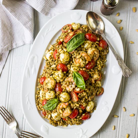 Farro Caprese Salad with Shrimp