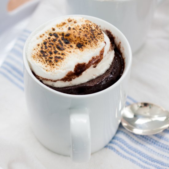 Quick Smores Mug Cake Recipe