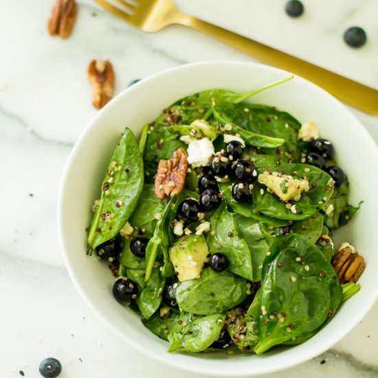 Blueberry Pecan Quinoa Salad