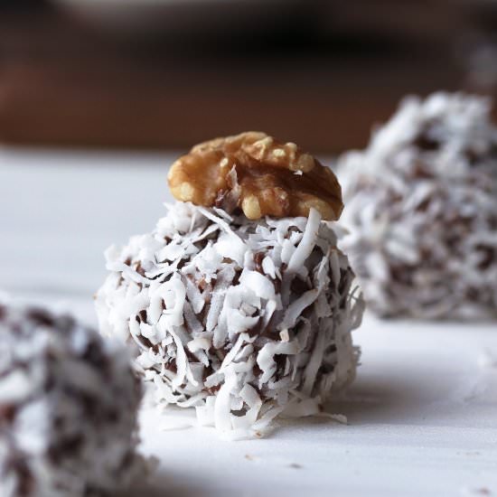 Fudgy Coconut Protein Balls