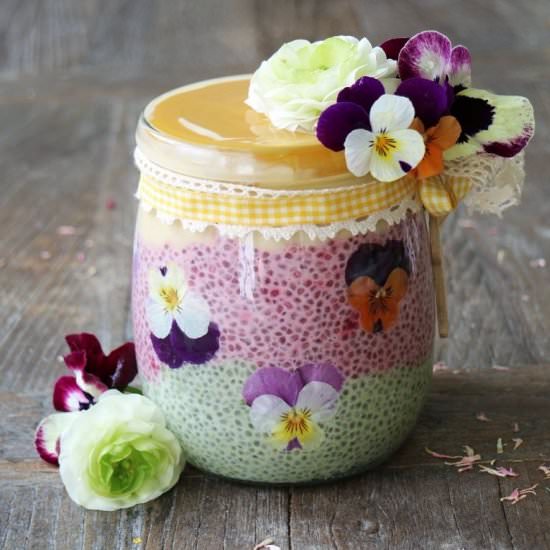 Layered Ombre Chia Pudding Parfait