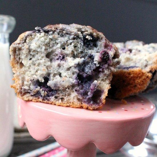 Whole Wheat Blueberry Muffins