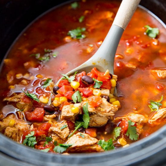 Crock Pot Chicken Tortilla Soup