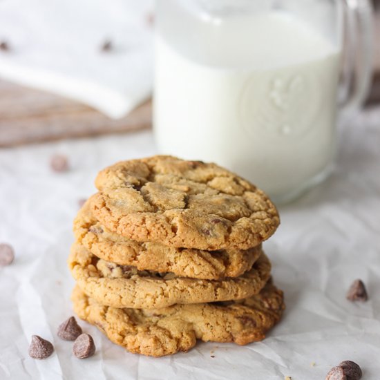 Chewy Chocolate Chip Cookies