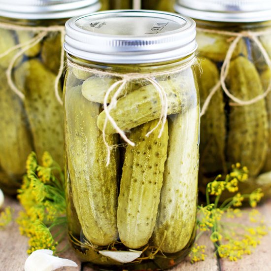 Canned Dill Pickles