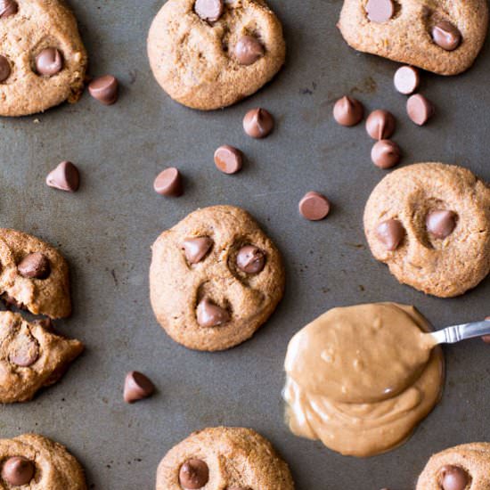 Chocolate Chip PMS Cookies