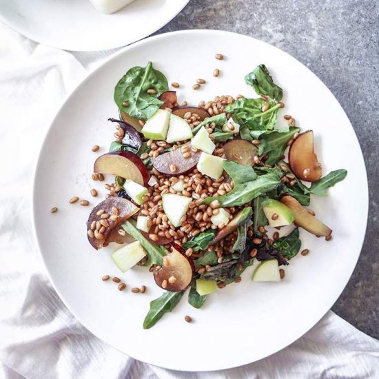 Plum + Apple Wheat Berry Salad