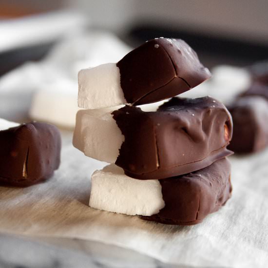 Dark Chocolate Dipped Coconut Bites