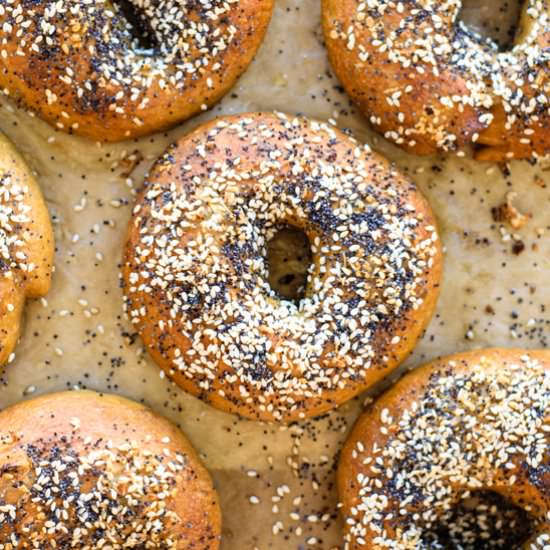 Homemade New York Style Bagels