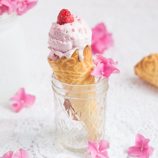 Raspberry Ice Cream