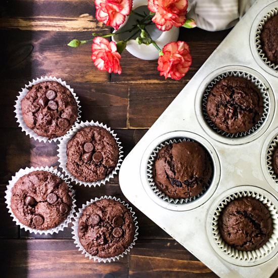 Double Chocolate Chip Muffins