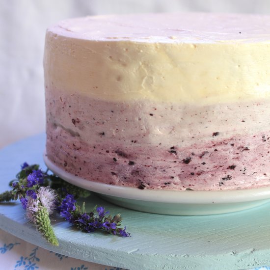 Lemon Blueberry Ombre Cake