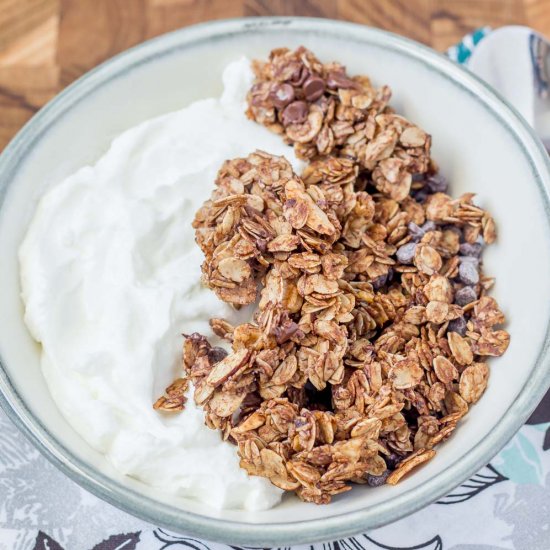 Mocha Java Granola