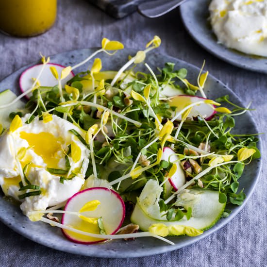 Yellow Pea Shoot Salad