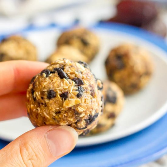 No Bake Blueberry Cookie Balls