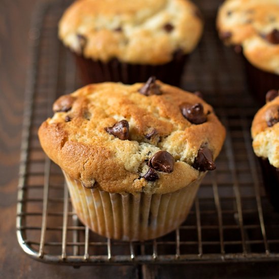 Perfect Chocolate Chip Muffins