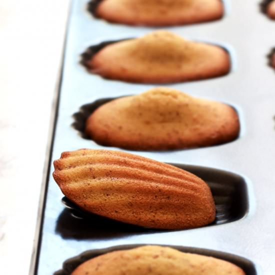 French Butter Madeleines