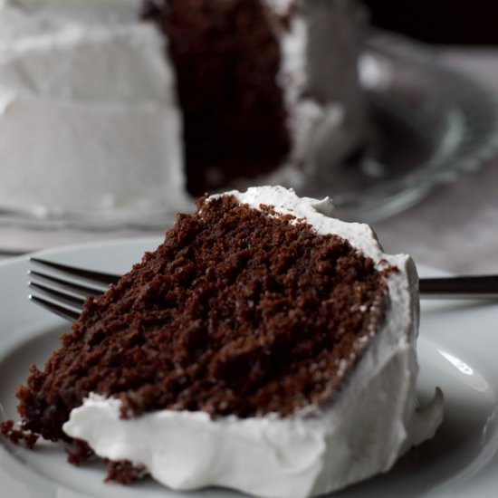 Five Minute Chocolate Cake