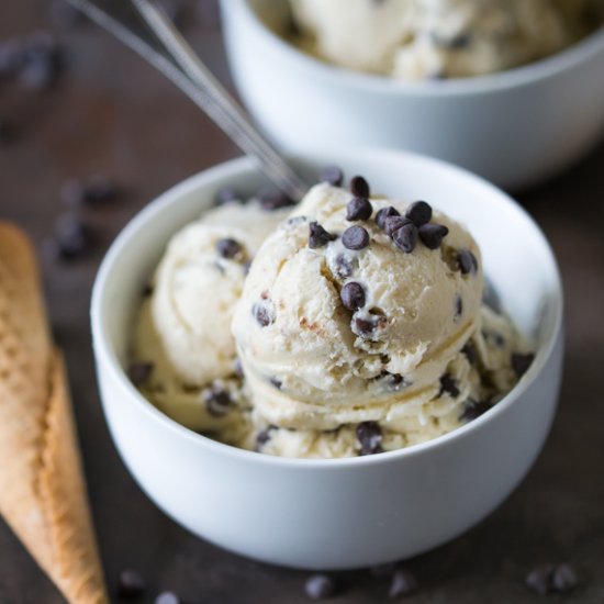 Dairy Free Chocolate Chip Ice Cream