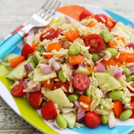 Rice and Vegetable Salad