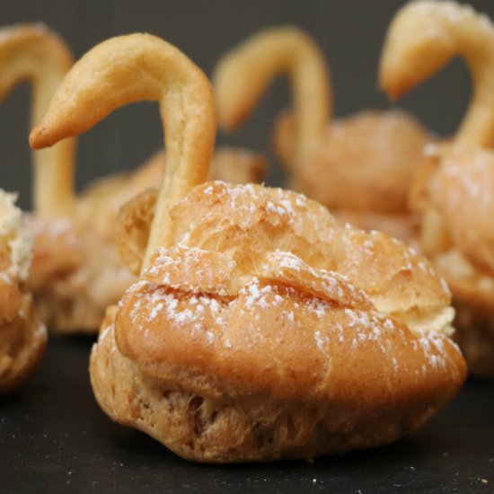 Choux Pastry Swans