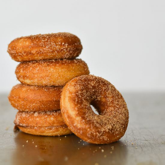 Cinnamon Sugar Mini Donuts